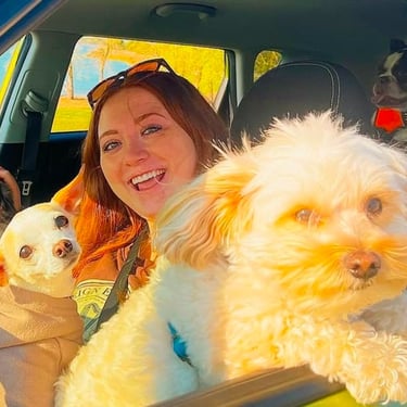 Sitter with a fluffy dog in the car