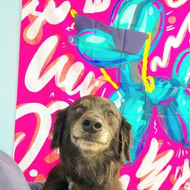 Boarding facility 12